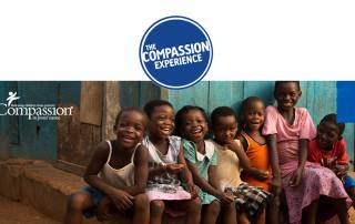 Compassion Experience