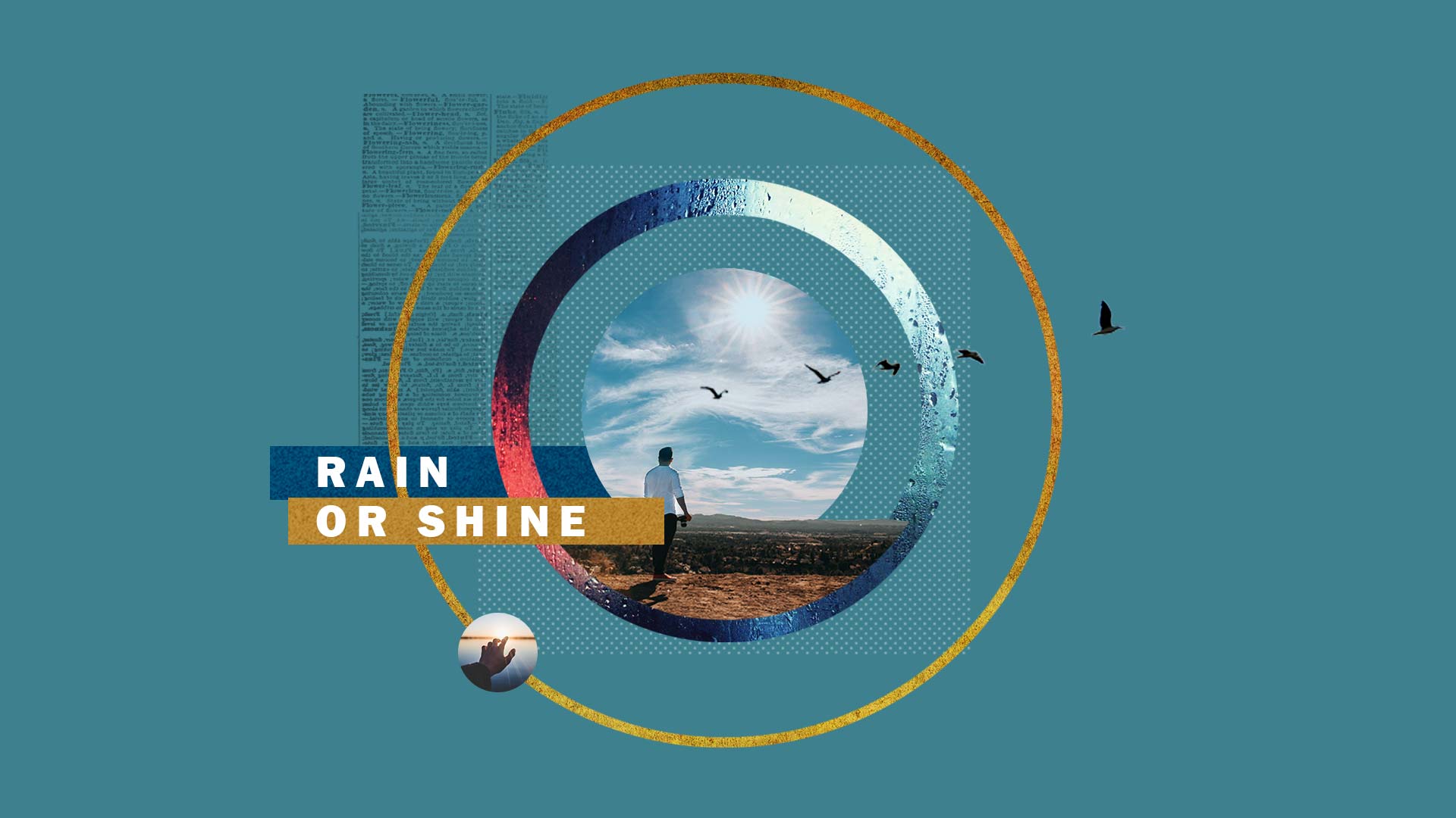Rain or Shine